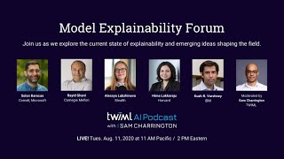 Model Explainability Forum