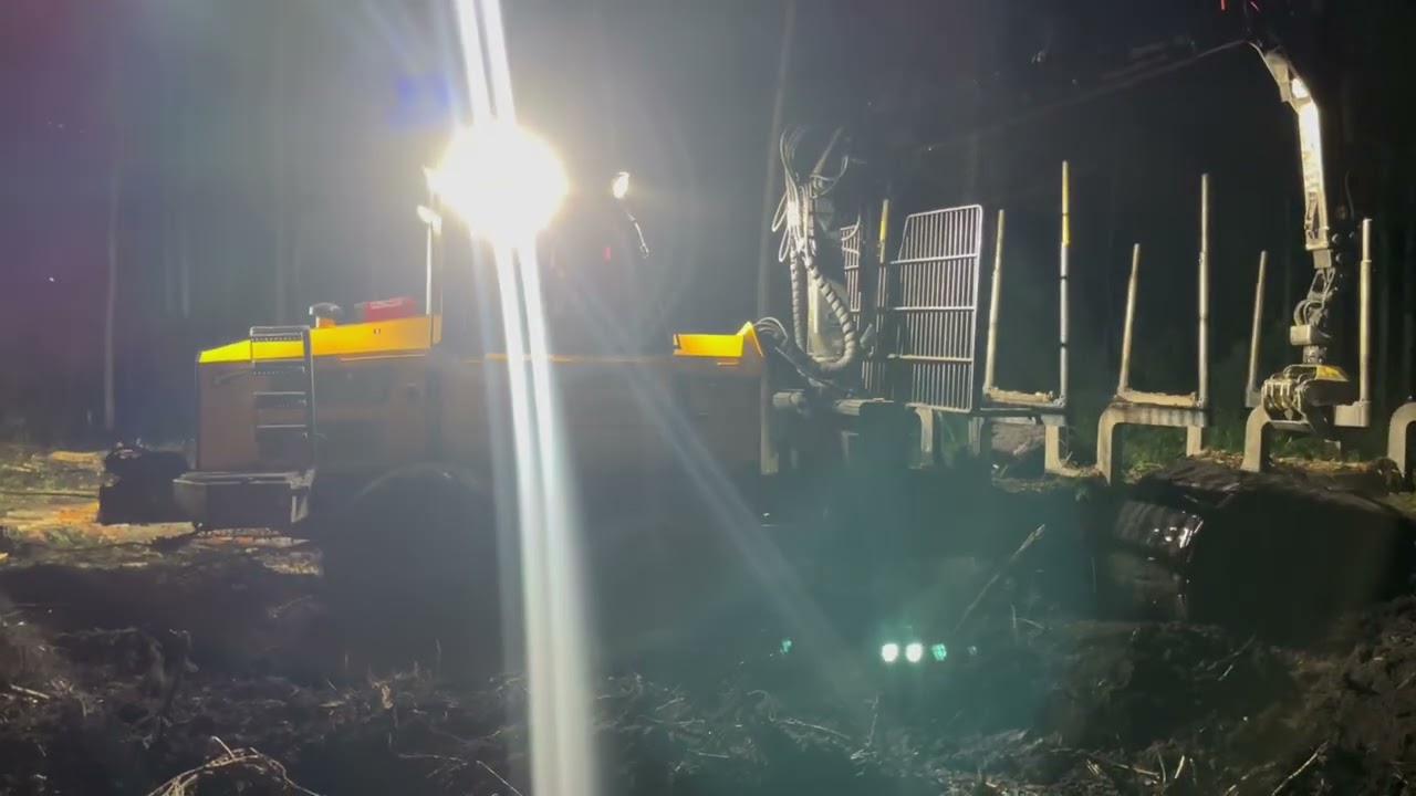 ОПЕРАТОР ХАРВЕСТЕРА🌲6 СЕРИЯ🌲РАБОТА В РФ🌲JOHN DEERE 1470E🌲КАЖДЫЙ ДЕНЬ РЕМОНТ🌲АВГУСТ🌲КОРОВЫ🤷‍♀️HELP👀