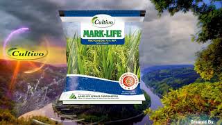 21) Mark Life