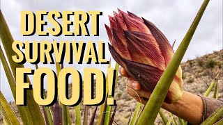 Desert Survival Food: Yucca Stalk Junkyard Fox
