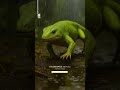 #human_evolution 