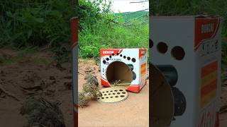 Creative DIY Trap Technique - quick bird trap #shorts