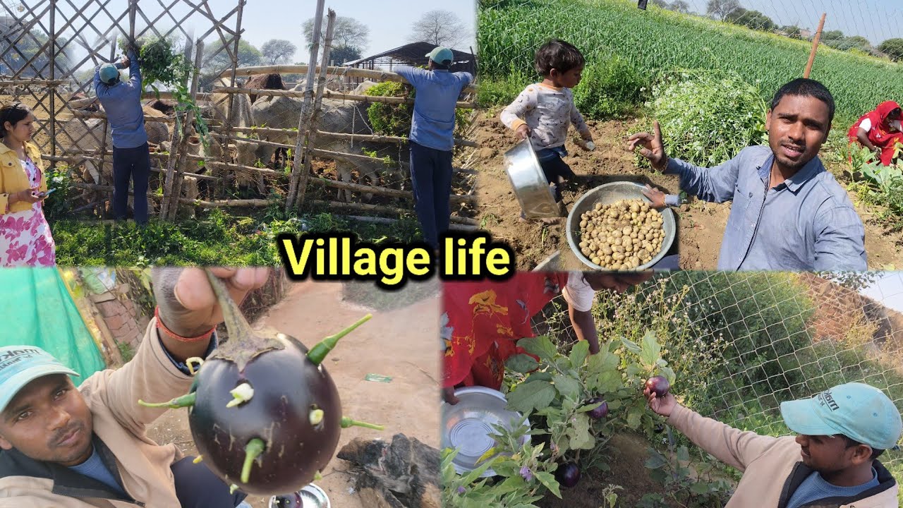 बाहर जाने की तैयारी में लग गए | ram jaya faimily 