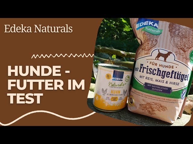 aufbewahrung kuchen Kuchen Transportbox Rechteckig  uandu