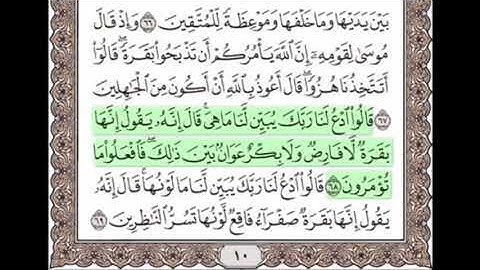 سورة البقرة مكررة ثلاث مرات من الآية 64 - 73 للمراجعة