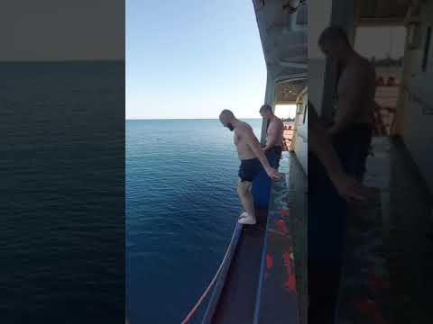 Видео: Снорклинг: с берега или с лодки