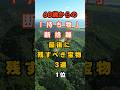 60歳から「持ち物」断捨離！最後に残すべき宝物３選１位