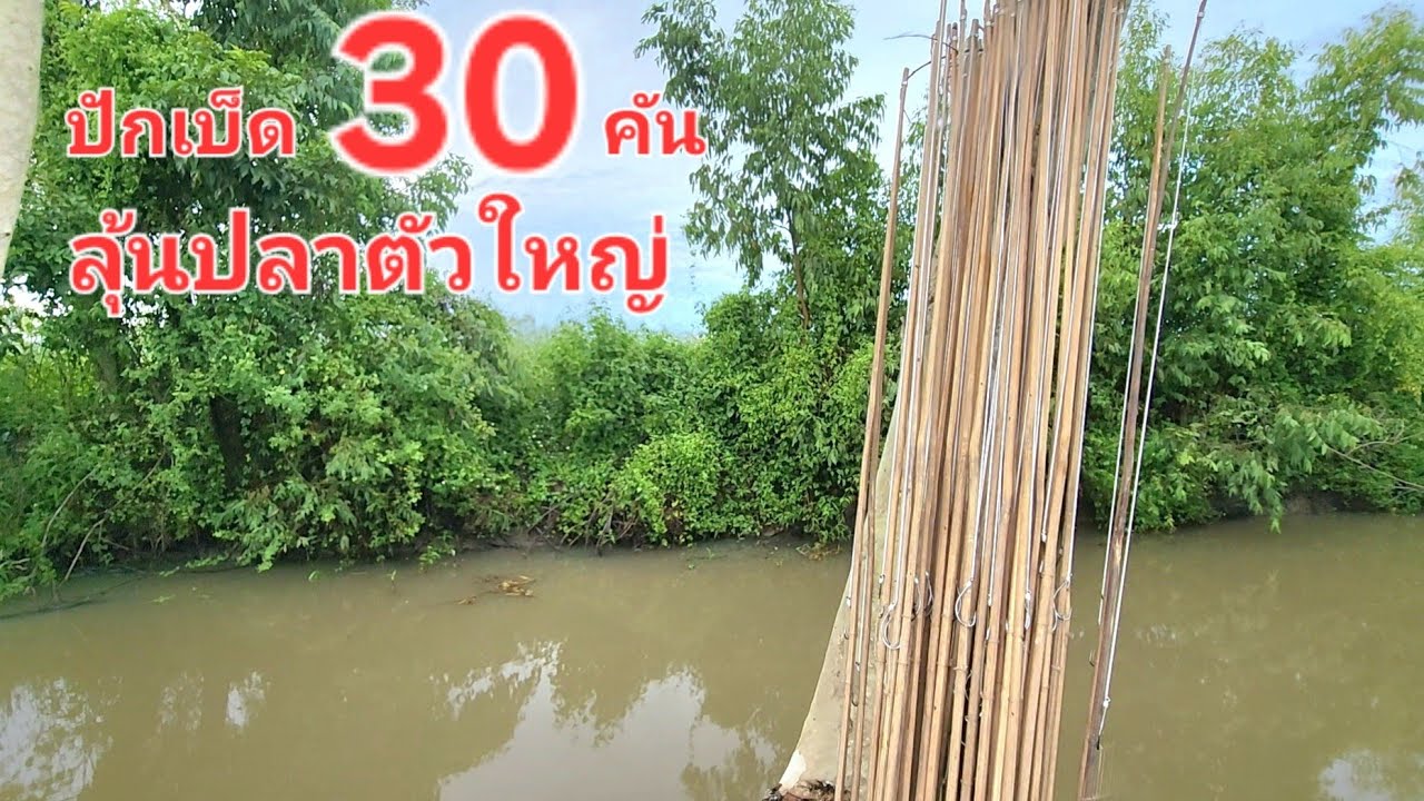 ปักเบ็ด 30 คัน ลุ้นปลาตัวใหญ่