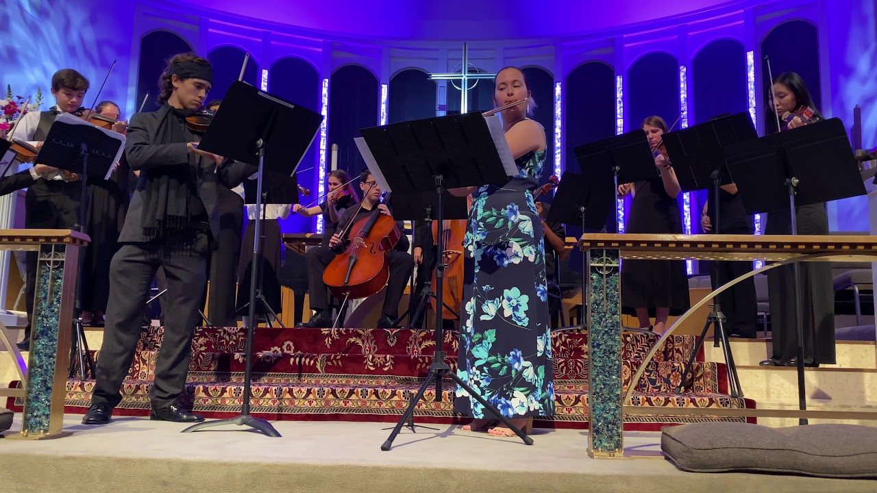 Vivaldi "The Goldfinch" First Movement YouTube