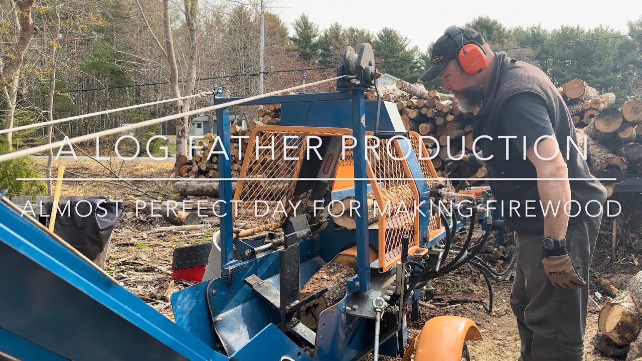 Ecopro300- What I HATE about making firewood! Black flies!