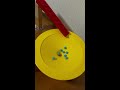 Marble Run Live⭐︎Wooden wave slope & Mysterious charm & interesting ASMR