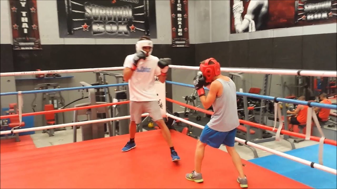 entreno en survival box camera iphone 8 plus apk