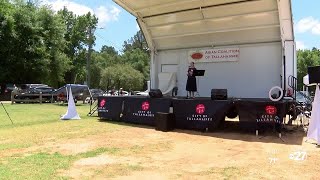 Festivals becoming more common in Tallahassee
