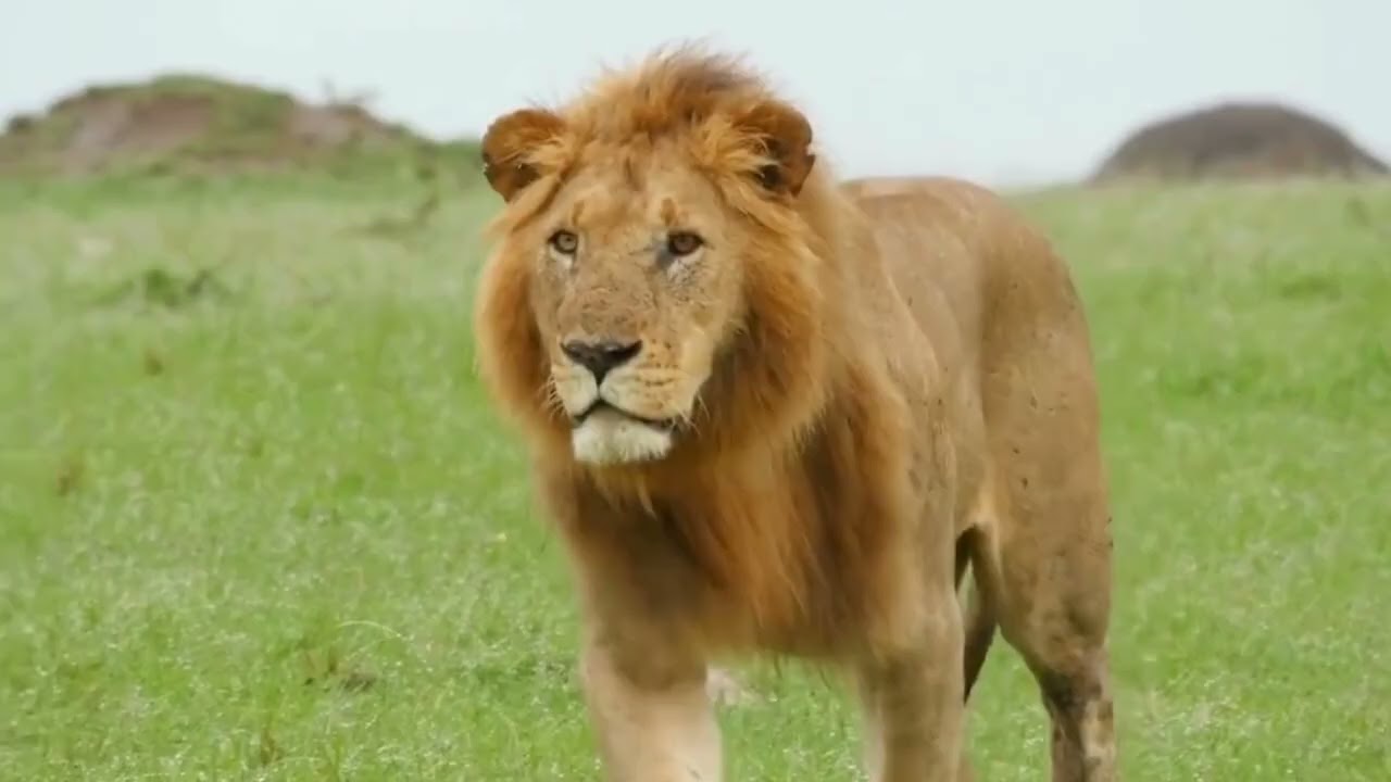 Natur - viel besser als ALLES andere 🏞️🪨🏜️