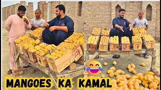 Download Lagu Insan bane mangoes🥭 MP3 Download Lagu Insan bane mangoes🥭 MP3