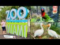 ZOO MIAMI | Visitando el zoológico de Miami 2021,precios 🐘vale la pena ir ??