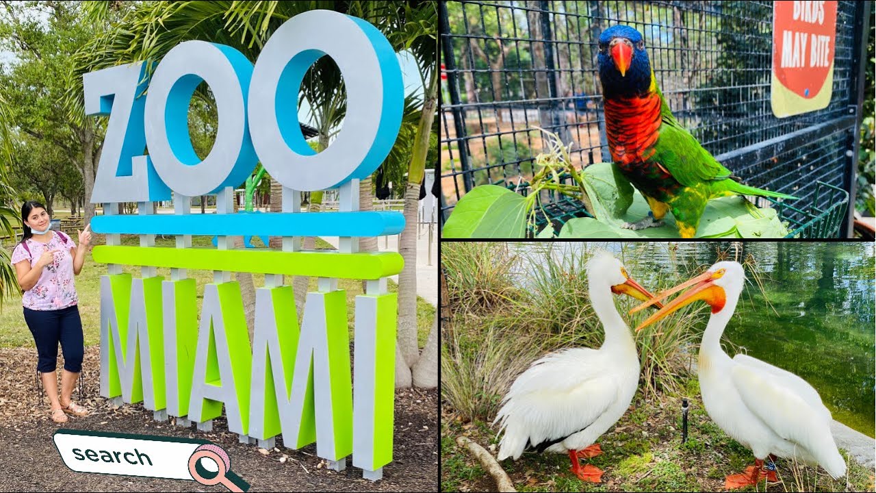 zoológico ubicado en Florida, Descubre el Art Déco, Deslízate hacia abajo por el Slide Mantra de mármol de Noguchi en Bayfront Park - Sorpréndete-Ousha