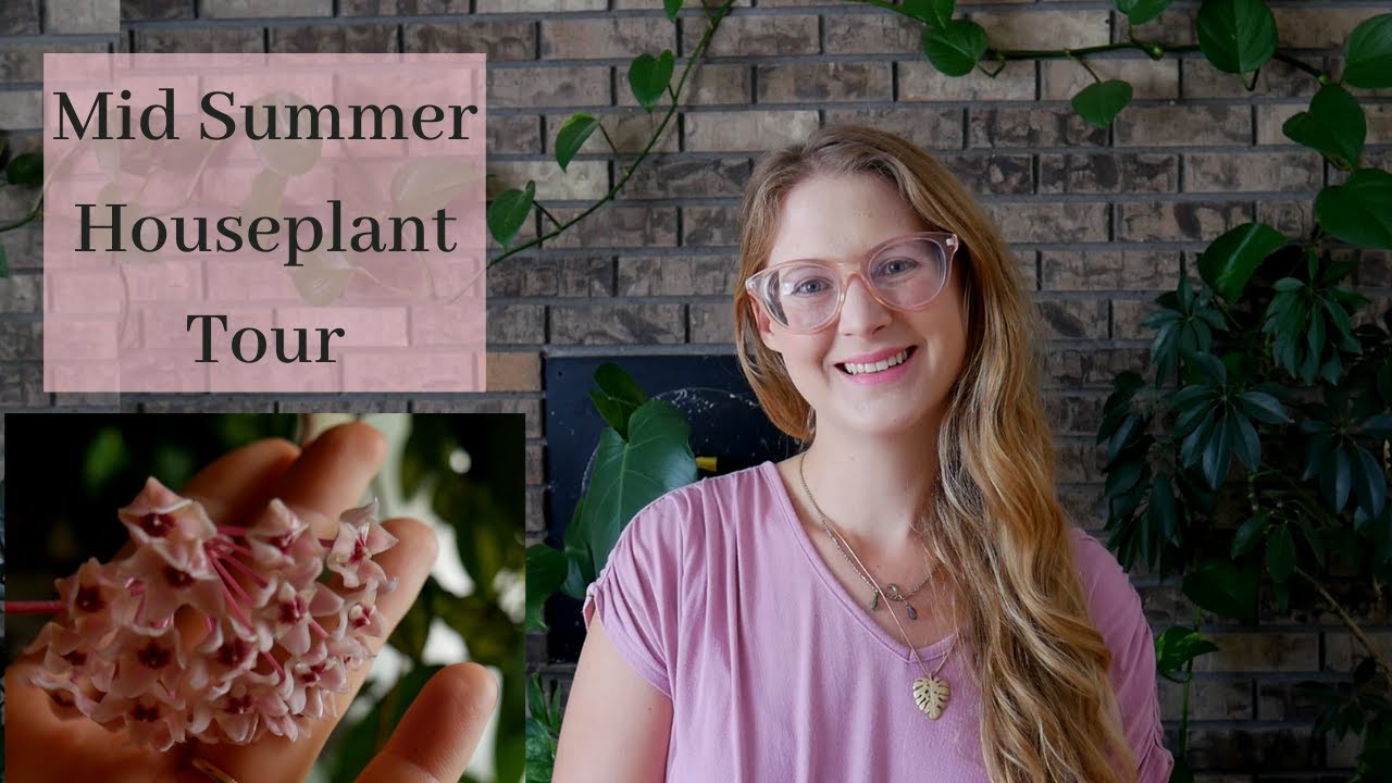 Mid Summer Houseplant Tour | Blooming Houseplants
