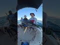 Standard Size Of Marlin You Can Catch In Cabo #fishinglife #saltwaterfishing #marlinfishingcabo