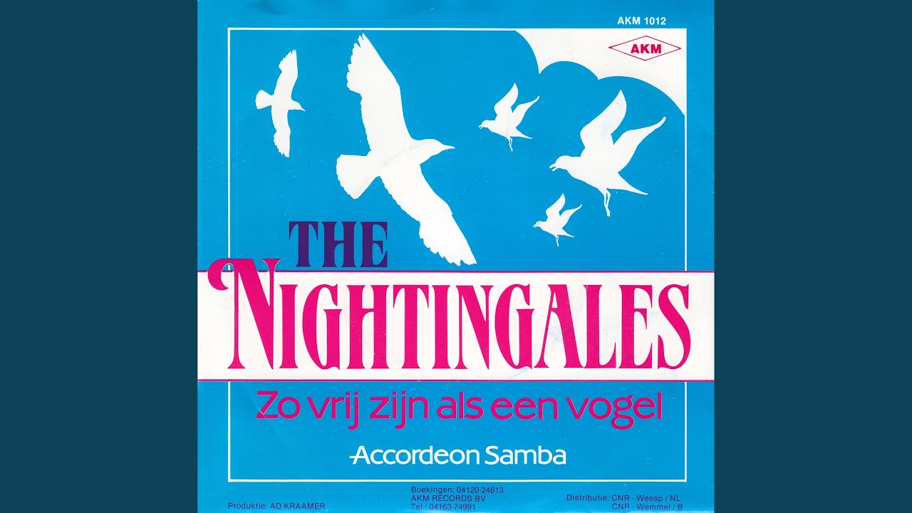 Zo Vrij Zijn Als Een Vogel - YouTube