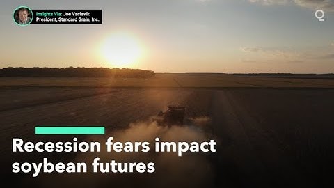 Global Downturn Triggers Soybean Futures Sell-Off