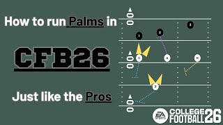 Everything you need to know about Palms coverage | Chalk Talk: 03
