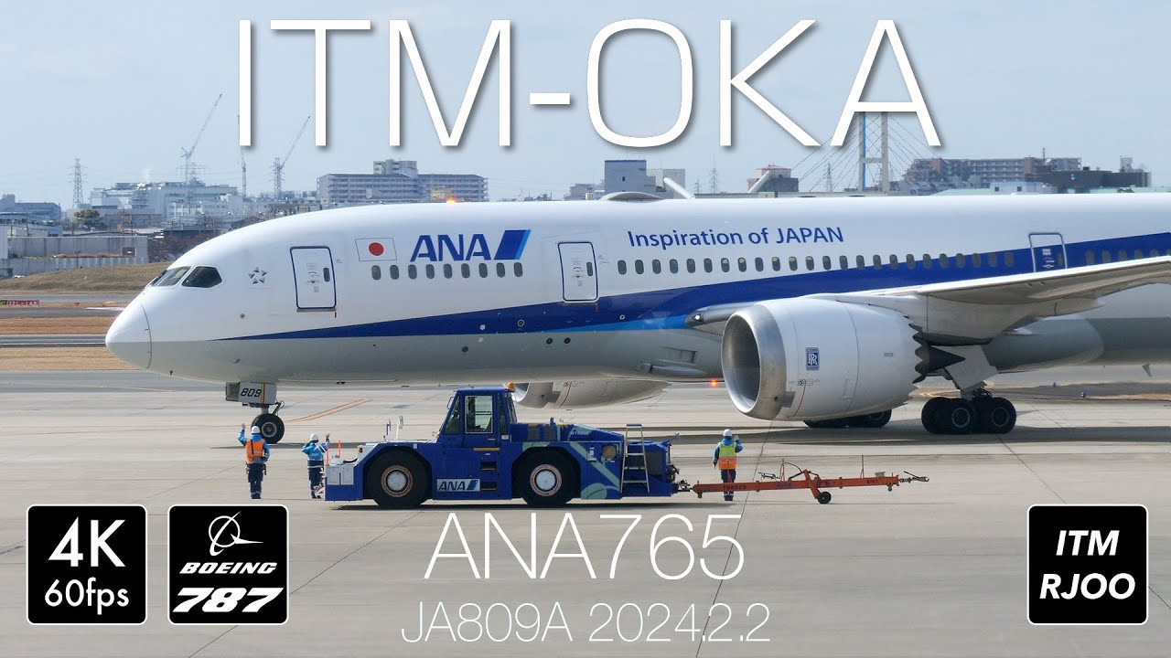 [非売品] ANAフライトタグ ひまわり ANA(全日本空輸) - 全日空 ANA フライトタグ ボーイング737の
