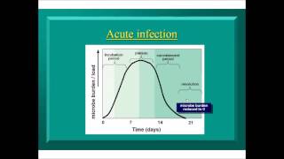 Intro to Persistent Infections