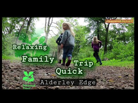 Relaxing walk through forest in Alderley Edge National Trust