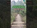 Walking D hanging bridge,where fear turns into adventure#shorts#explore #Nature#HangingBridge#Travel