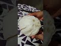 Kambili നാരങ്ങ Recipe#@tvm.my home#