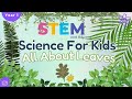 Understanding Leaves and Trees