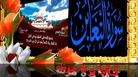 سورة التغابن | القارئ عبَّاد الإمامي | رواية حفص عن عاصم