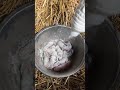 Yavru Tavşanlara Neden Toz Döküyorlar 😲