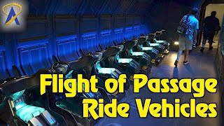 Closer look at Avatar Flight of Passage ride vehicles in Pandora at Animal Kingdom Closer look at Avatar Flight of Passage ride vehicles in Pandora at Animal Kingdom