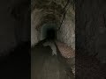 深夜の心霊トンネル #Shorts