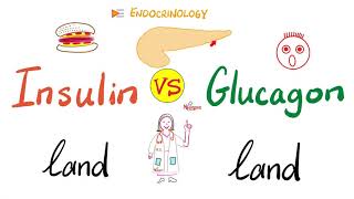 Insulin world vs Glucagon world | A Tale of Two Hormones | Feeding vs Fasting | Endocrinology