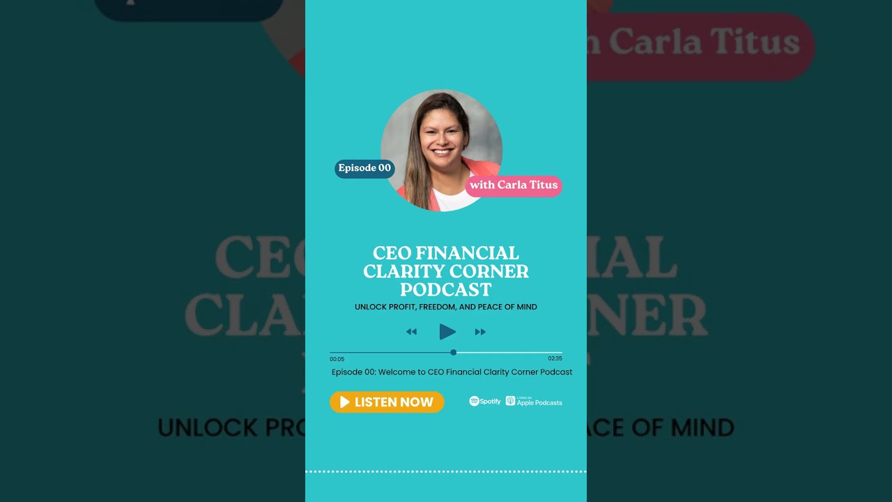 Welcome to the CEO Financial Clarity Corner Podcast!