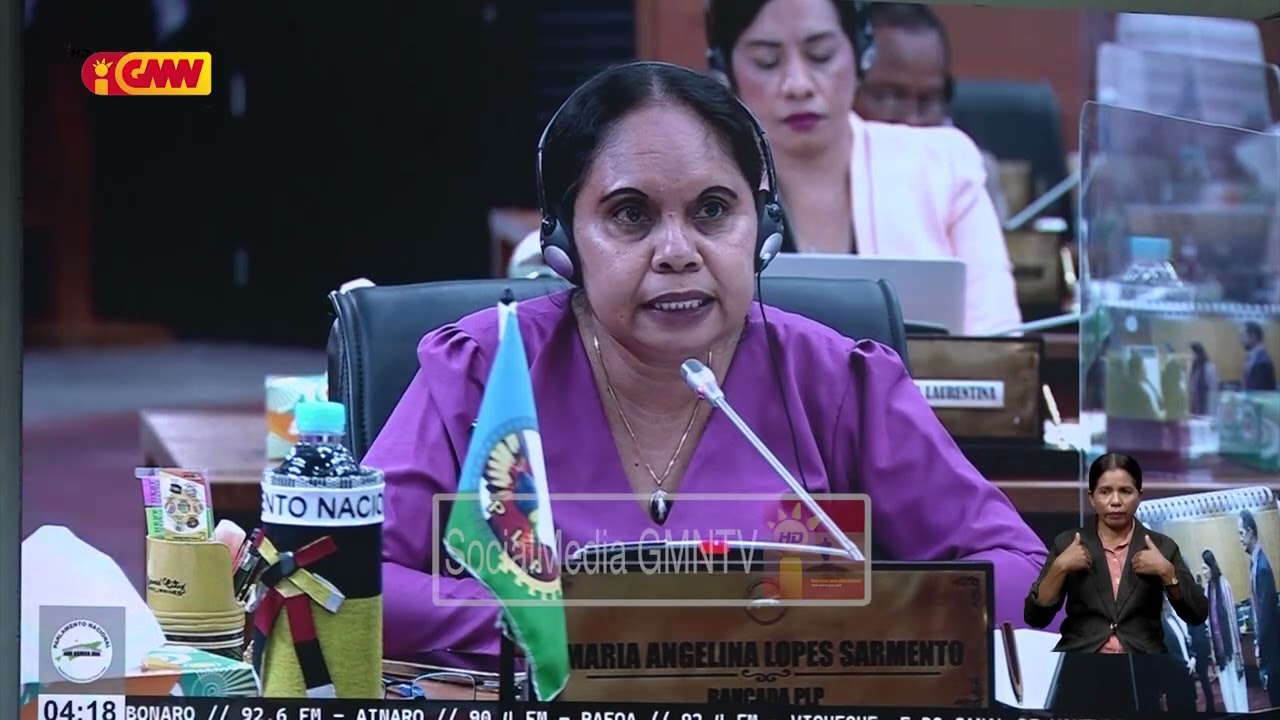 Bankada PLP kestiona retroatividade ba implementasaun lei partidu ne’ebé uza símbolu resisténsia