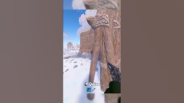 Pyhton VS AK - Rust #shorts