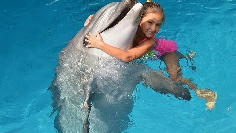 Elif havuzda yunuslarla yüzüyor , Bu yunuslar çocuklara terapi ve tedavi için kullanılıyormuş. Vlog