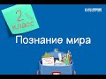 Познание мира. 2 класс. Я и моя семья /03.09.2020/