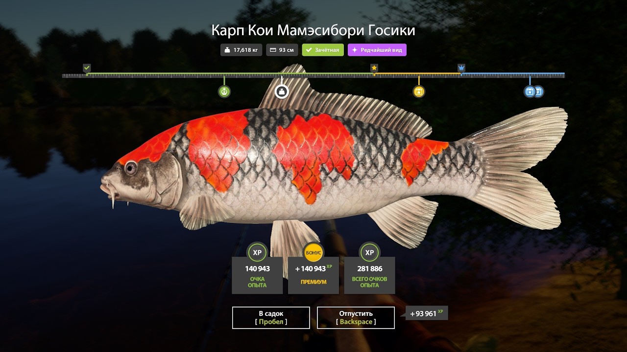 Проверка фарма серебра на Медном и Осетр Ахтуба. Русская рыбалка 4. РР 4.