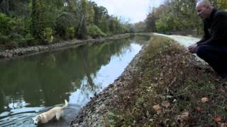 Download Lagu 'Aku menyadari bahwa aku akan mati' MP3