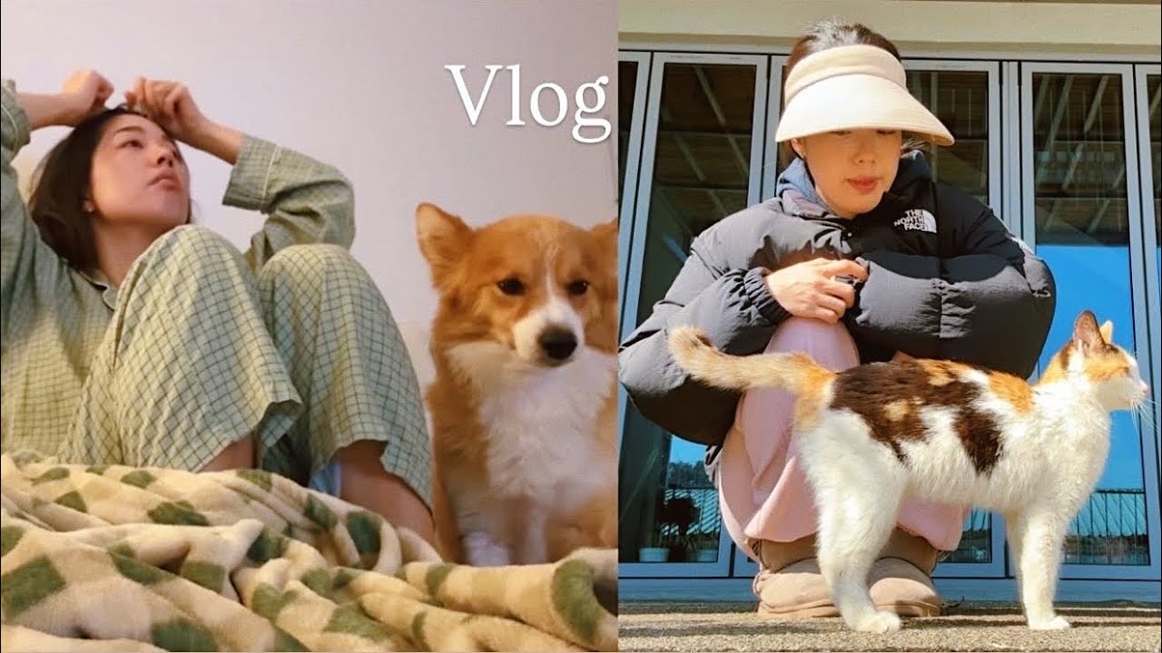 취한 영어 브이로그 I 혼자 보낸 일주일 기록 I 김갈릭