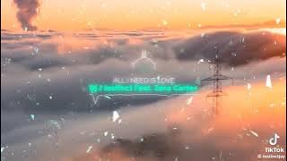 Dj J instinct- All I need