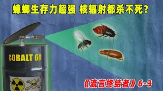 流言终结者：最强生命力蟑螂，就连核辐射都杀不死它，太强了！（S6E3）