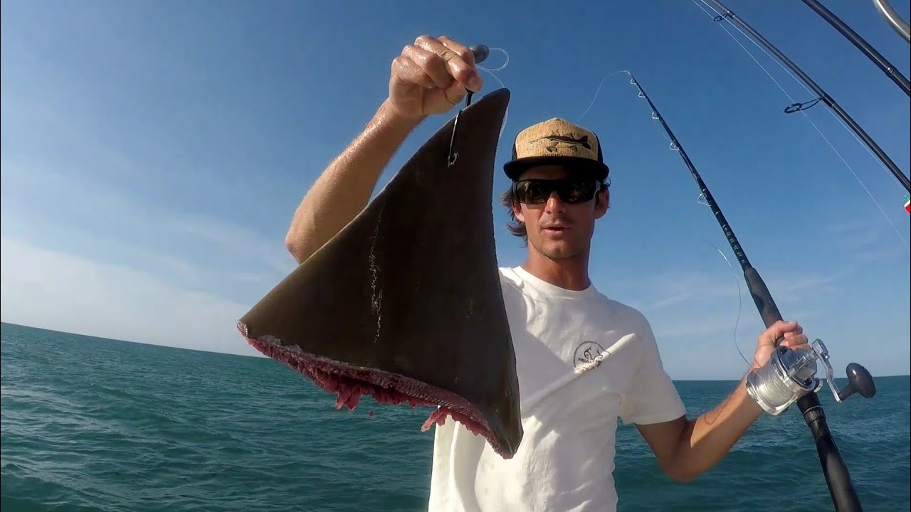 Jetty Giants Big Bait Fishing Grouper YouTube