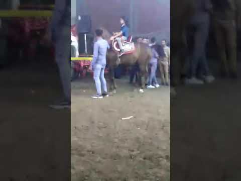 نعم الصحاب