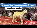 تغطية مزاد الراجحات على فحول و رخال صنف الجمعة 1444 7 19 هـ